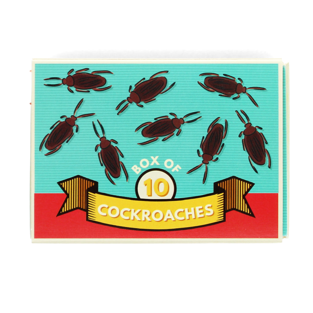 Box of 10 cockroaches