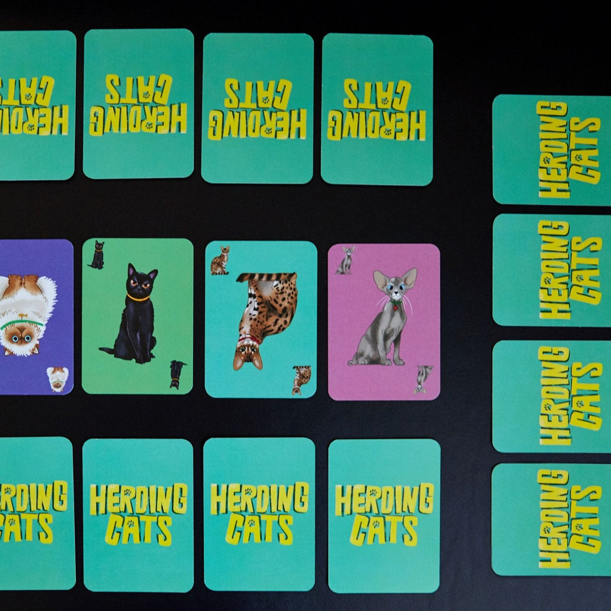 Collection of 'Heroing Cats' playing cards with colourful, whimsical feline illustrations and distinct cat character designs.