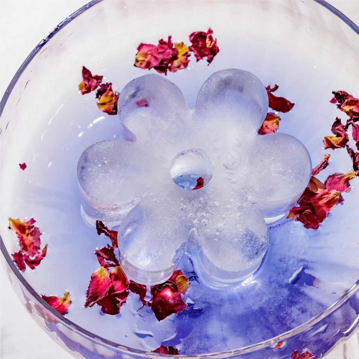 A large, clear ice daisy from a flower shaped ice mould floating in a cocktail, showcasing the detailed petals and 50mm depth.