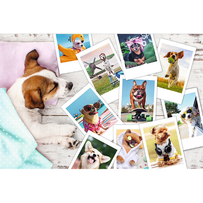 Trefl 300pc Puzzle - Holiday Pictures