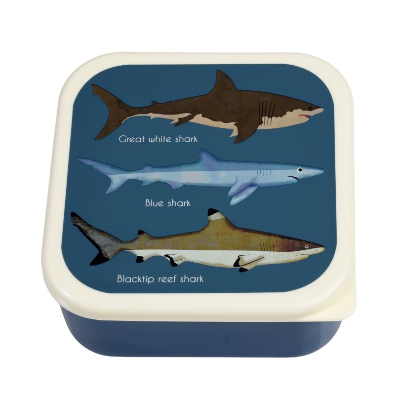 Sharks Snack boxes