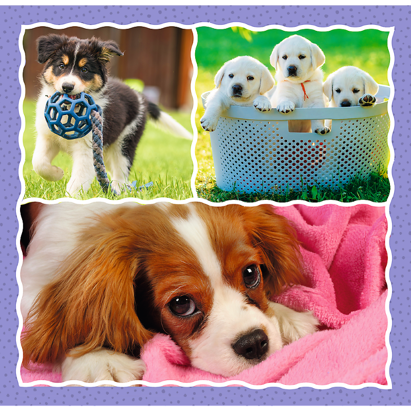 Trefl 3in1 puzzle - Lovely Dogs