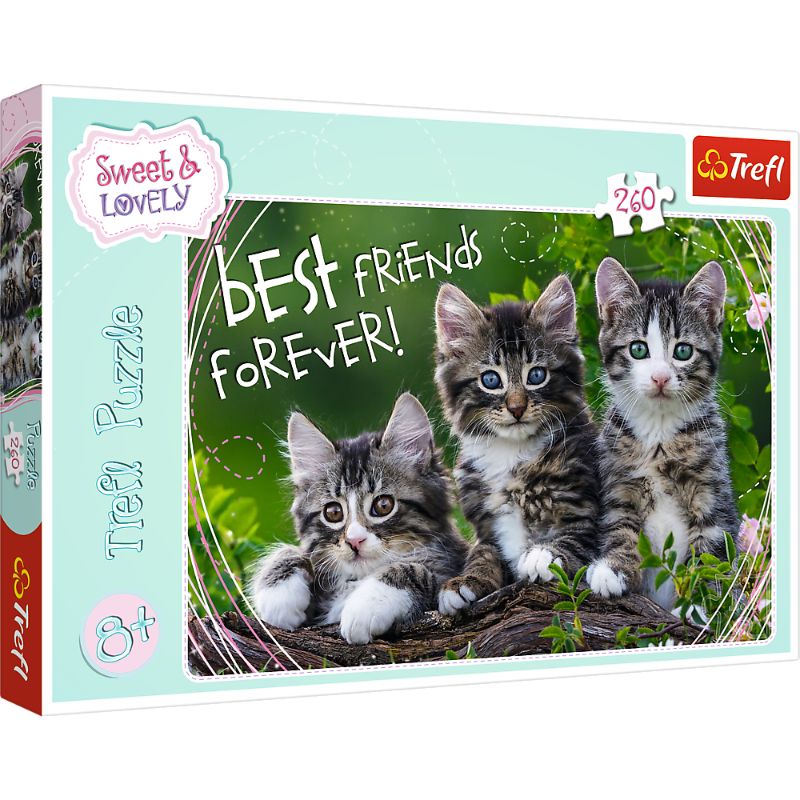 Trefl &quot;260&quot; - Feline friendship